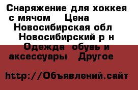 Снаряжение для хоккея с мячом. › Цена ­ 5 500 - Новосибирская обл., Новосибирский р-н Одежда, обувь и аксессуары » Другое   